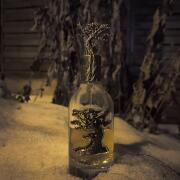 Photo by fabrice1977