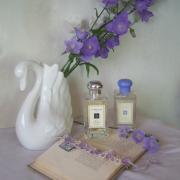 Wild Bluebell Jo Malone London perfume a fragrance for women 2011