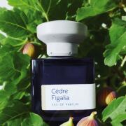 JUN　ATELIER MATERI Cedre Figalia Cedre Figalia - Vegetal, Woody Fragrance - ATELIER MATERI