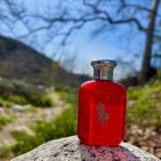 Polo Red Eau de Parfum Ralph Lauren cologne - a fragrance for men 2020