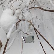 Photo by CiCiGourmand