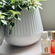 Photo by Sassafras23