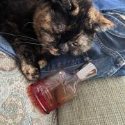 Photo by Hernanccito