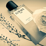 Aire Sutileza Elixir Loewe 香水- 一款2026年新的中性香水