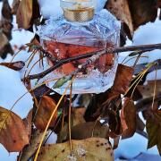 Photo by SPACE*KITTEN