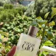Acqua di Gio Giorgio Armani コロン - 1996年の男性用 フレグランス