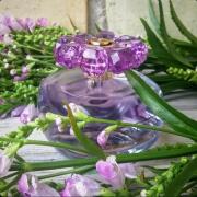 Photo by renovod_femme