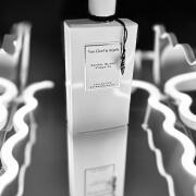 Photo by Margaritas1