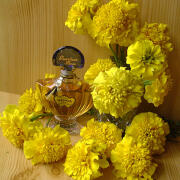 Photo by Lady Winter