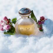 Photo by ЮлияЛето