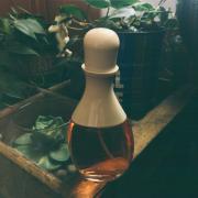 Photo by moonsunstars