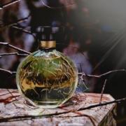 Photo by Лейка@@@