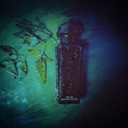 Photo by Crow'sNovember