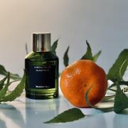 Mandarino Laboratorio Olfattivo perfume - a fragrance for