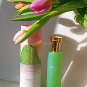 Bloomtea Hermetica perfume - a fragrance for women and men 2024