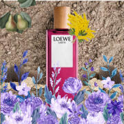 香水(男性用) LOEWE EARTH Eau de Parfum 50ml LOEWE Earth Elixir 50ml | LOEWE Perfumes