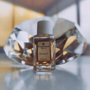 Photo by Engel desTodes