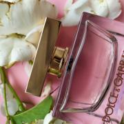 Rose The One Dolce&Gabbana perfume - a fragrance for