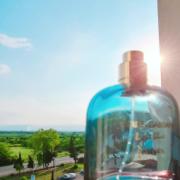 香水(男性用) DOLCE & GABBANA light blue forever 50ml Dolce & Gabbana Light Blue Forever 3.3 oz EDP for men