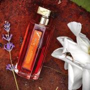 Photo by Маривиктори