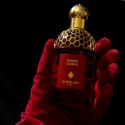 Ambre Samar Guerlain perfume - a novo fragrância Compartilhável 2025