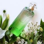 Un Jardin Sur Le Toit Hermès perfume - a fragrance for women and men 2011