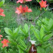 Photo by Vibia Sabina