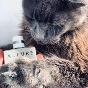 Photo by Твоя сущность