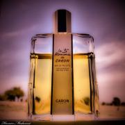 Le 3e Homme de Caron Caron cologne - a fragrance for men 1985