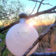 Photo by Abby Normal