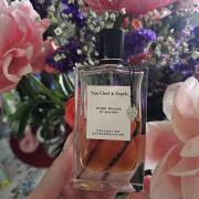 Rose Rouge Van Cleef & Arpels perfume - a fragrance Rose Rouge Van Cleef & Arpels perfume - a fragrance