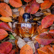 Photo by Tatianka_92