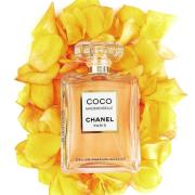 Coco mademoiselle best sale intense fragrantica