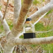 Photo by симонетта веспуччи