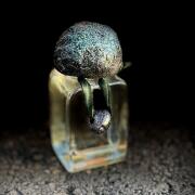 Photo by glitteralex