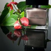 Narciso Rodriguez For Him Eau de Parfum Intense Narciso Rodriguez cologne a fragrance for men 2012