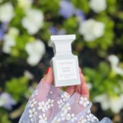Soleil Neige Tom Ford perfume - a fragrance for women and