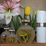 Photo by skank_hunter