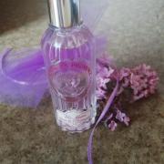 Un Matin Dans La Roseraie Jeanne en Provence perfume - a fragrance for ...