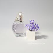Perceive Avon perfume - a fragrance for women 2000