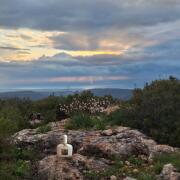 Photo by Лейка@@@