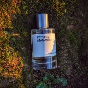 Papyrus Moleculaire Maison Crivelli perfume - a fragrance for