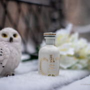 Tears Of Iris Eau de Parfum Gucci perfume - a fragrância