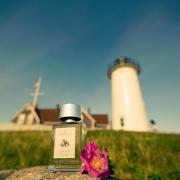 Photo by FragranceBros