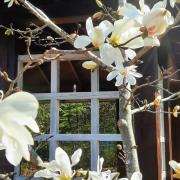 Photo by Марта Весна