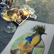 Photo by Лейка@@@