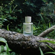 Vanilla Planifolia Chloé perfume - a fragrância Feminino 2020
