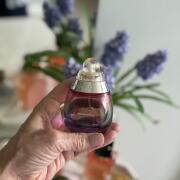 Beyond Paradise Estée Lauder 香水- 一款2003年女用香水