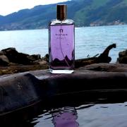 Aigner discount debut fragrantica