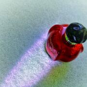 Photo by Олла-ля